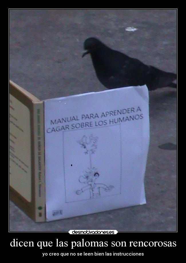 dicen que las palomas son rencorosas -