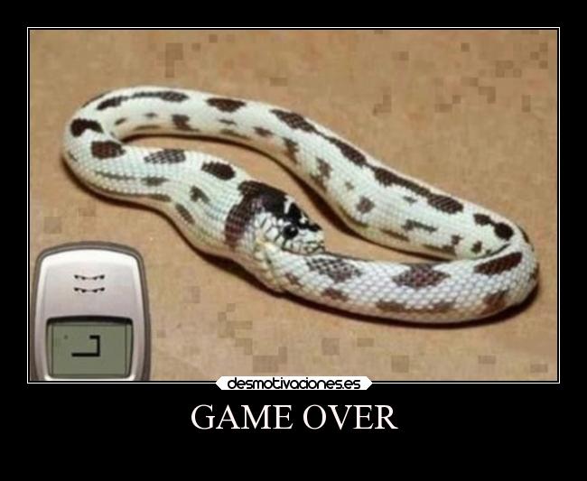 GAME OVER -
