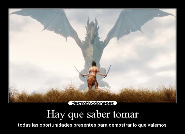 carteles animales dragones skyrim hermoso juego favorito clanbaneado blackdead desmotivaciones