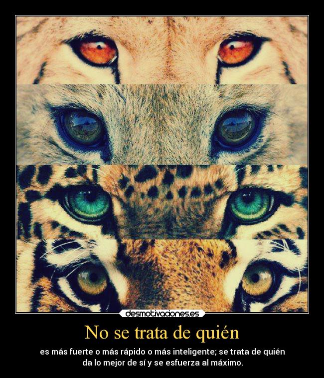 No se trata de quién - 