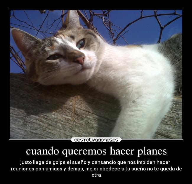 cuando queremos hacer planes - 