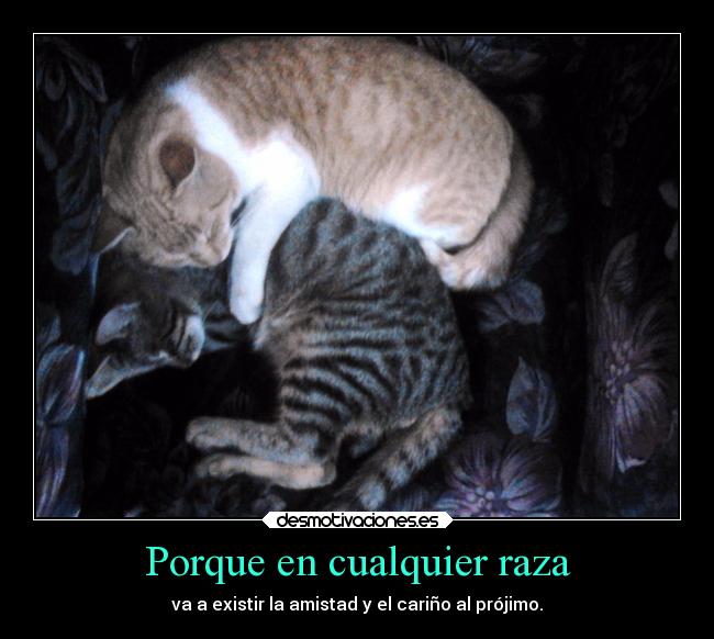 Porque en cualquier raza - va a existir la amistad y el cariño al prójimo.