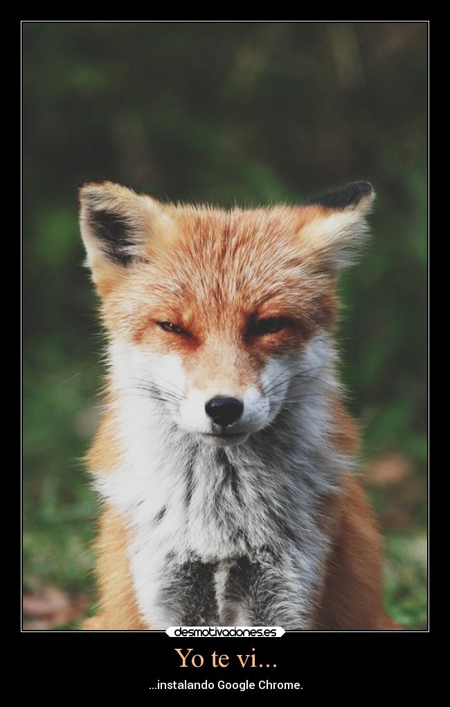 carteles animales geek friki nerd google chrome mozilla firefox desmotivaciones