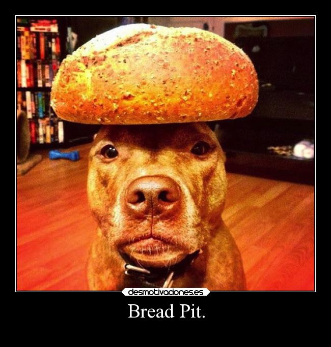 Bread Pit. - 