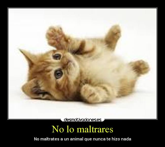 No lo maltrares - 