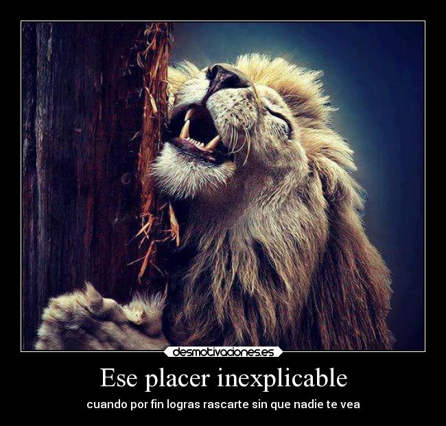 Ese placer inexplicable - 