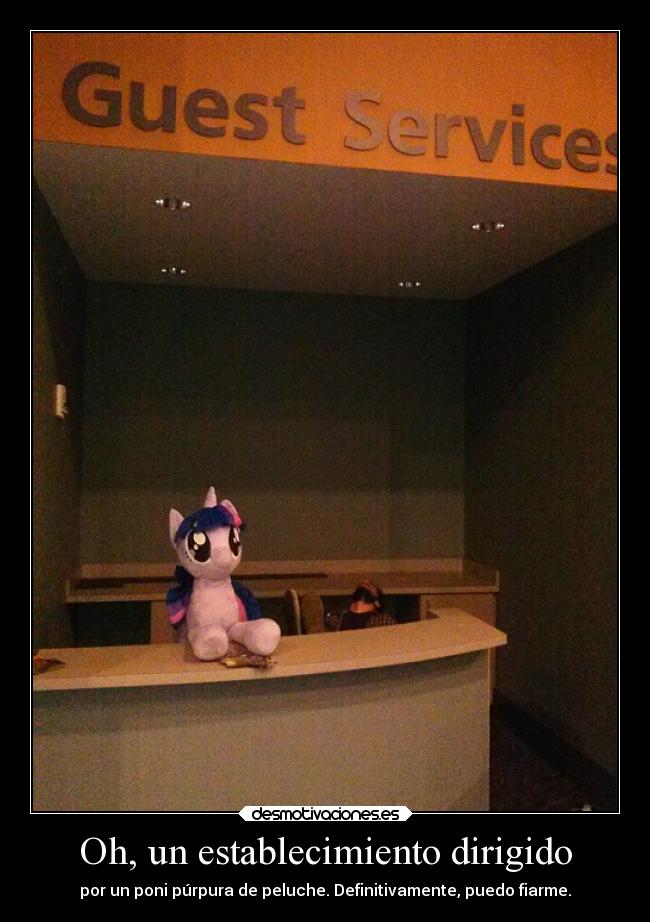 Oh, un establecimiento dirigido - por un poni púrpura de peluche. Definitivamente, puedo fiarme.