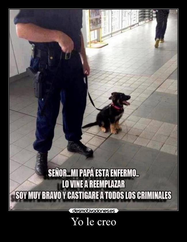 carteles animales perritu clandesplazado soyunidiotatm desmotivaciones