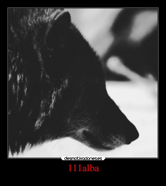 carteles animales rodrygreen 111alba clanloup loba negra desmotivaciones