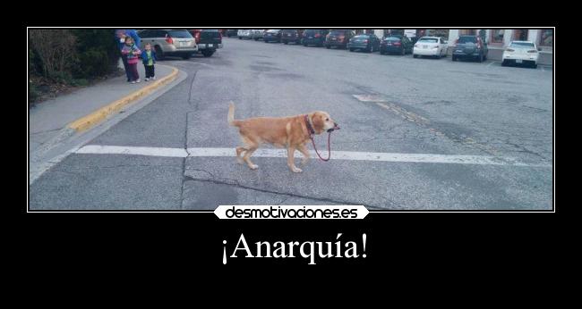 ¡Anarquía! - 