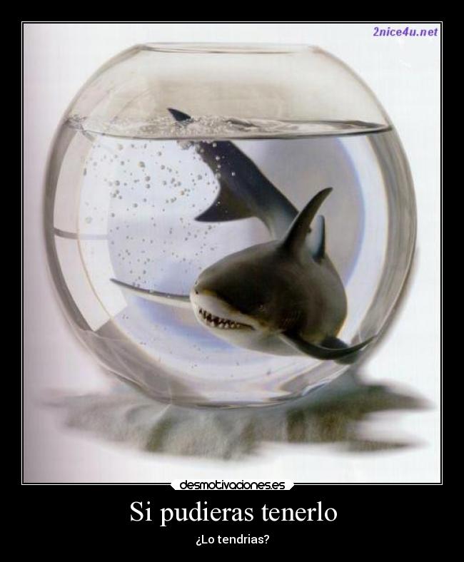 Si pudieras tenerlo - ¿Lo tendrias?