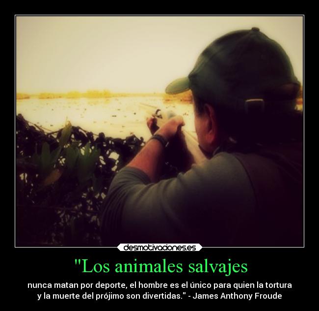 Los animales salvajes - nunca matan por deporte, el hombre es el único para quien la tortura
y la muerte del prójimo son divertidas. - James Anthony Froude