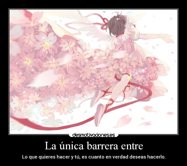 carteles anime barrera entre que quieres hacer desmotivaciones