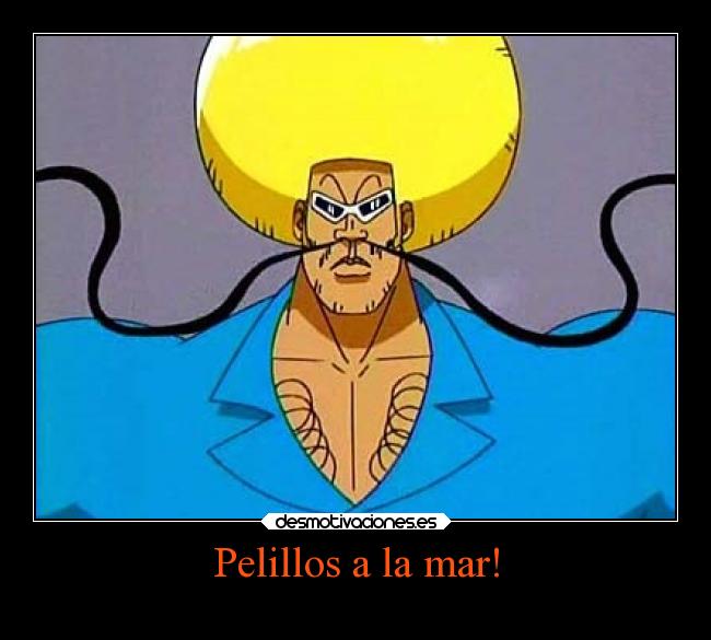 Pelillos a la mar! -