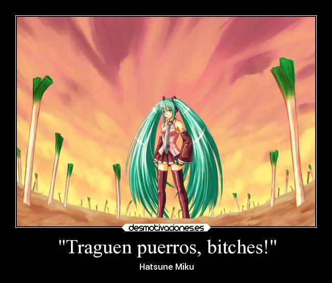Traguen puerros, bitches! - 