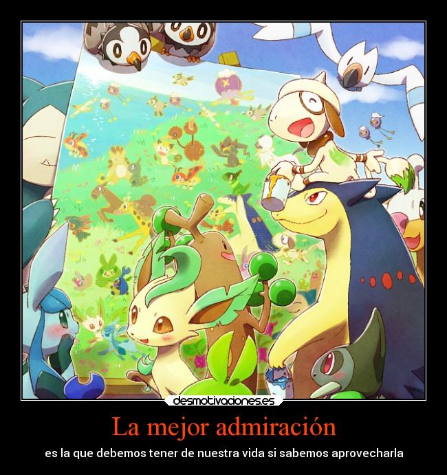 La mejor admiración -