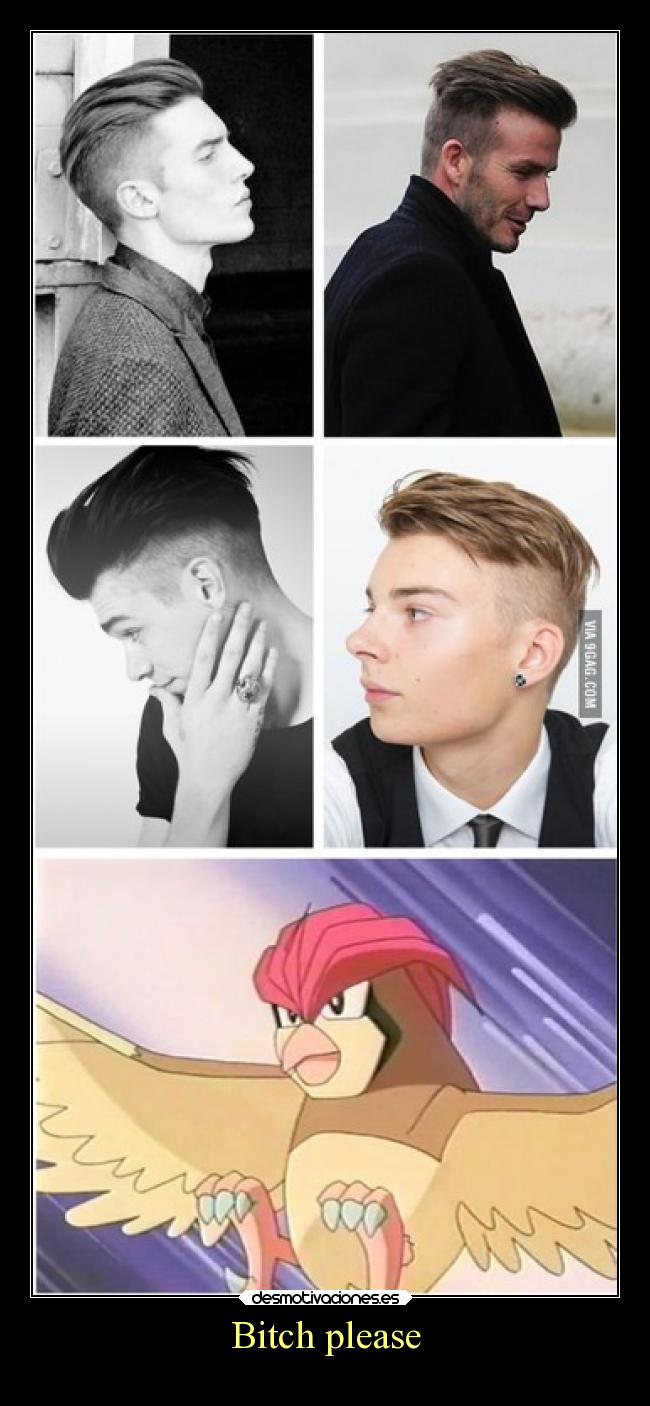 carteles anime risa humor pokemon pelo pidgeotto pajaro normal volador kanto bitch please moda pidgeot lol desmotivaciones