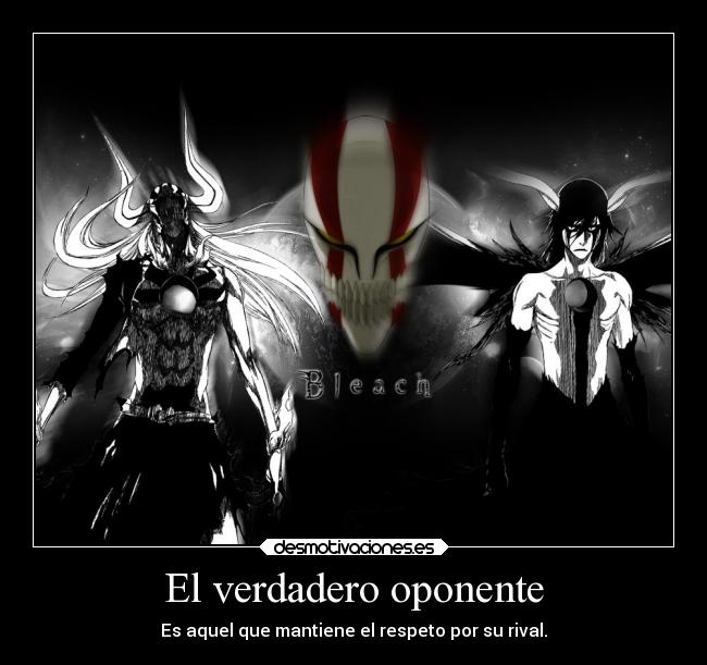 carteles anime rival respeto ulqiorra ichigo desmotivaciones