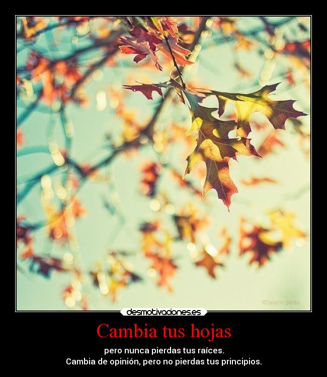 Cambia tus hojas - 