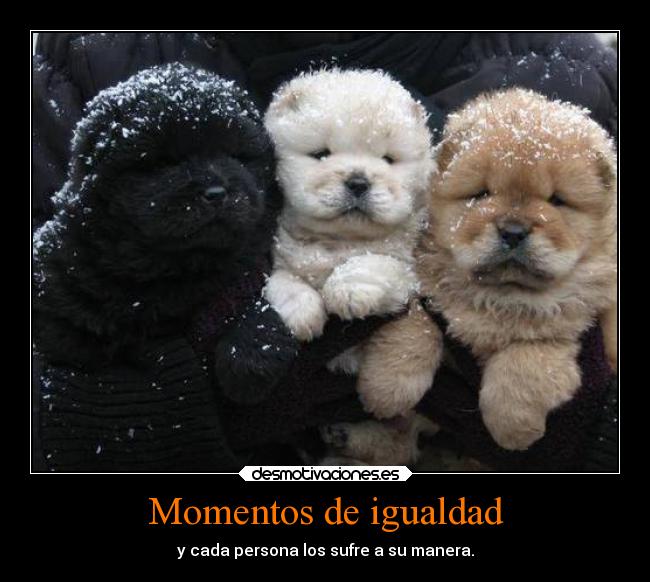 Momentos de igualdad -