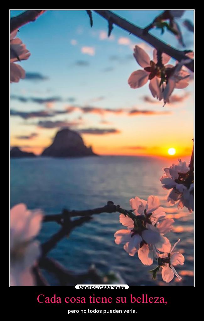 Cada cosa tiene su belleza, - pero no todos pueden verla.