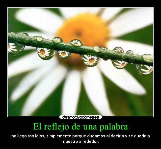 El reflejo de una palabra - 