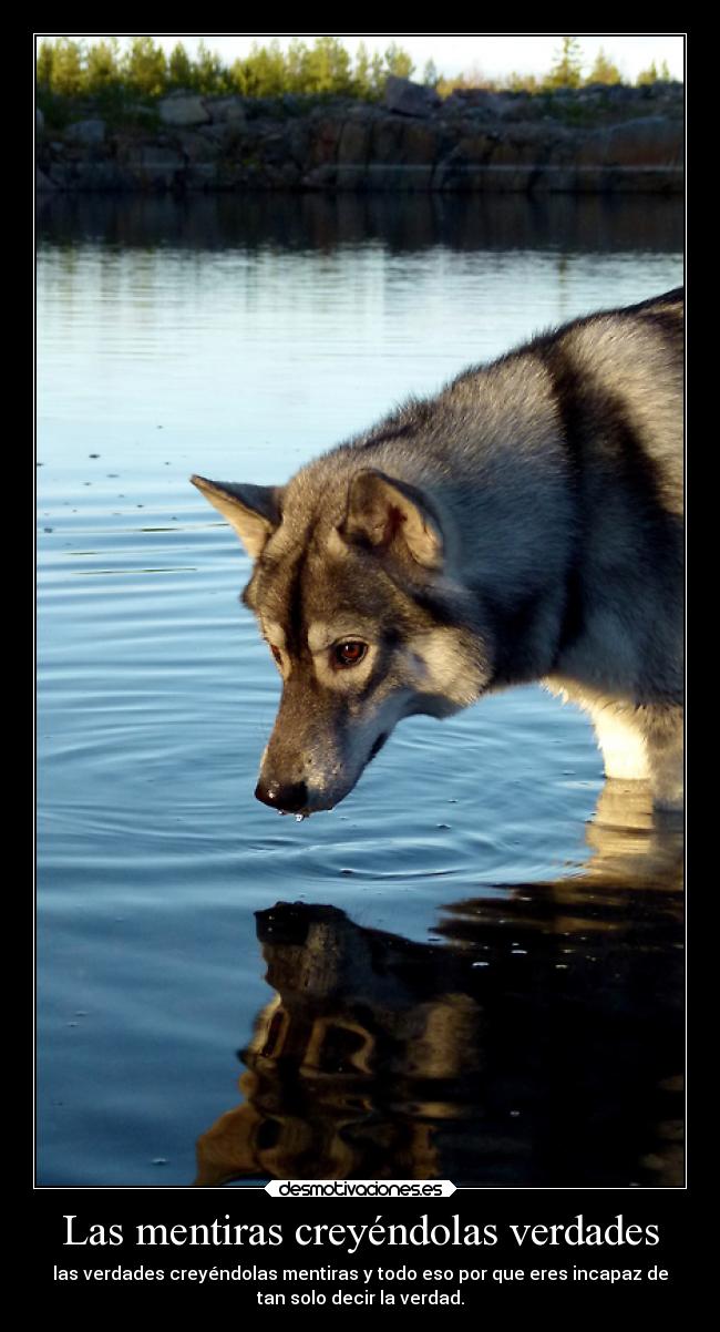 Las mentiras creyéndolas verdades - 