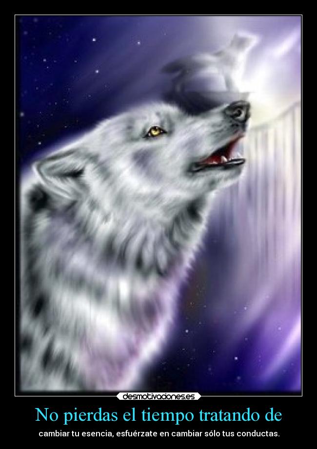 No pierdas el tiempo tratando de -