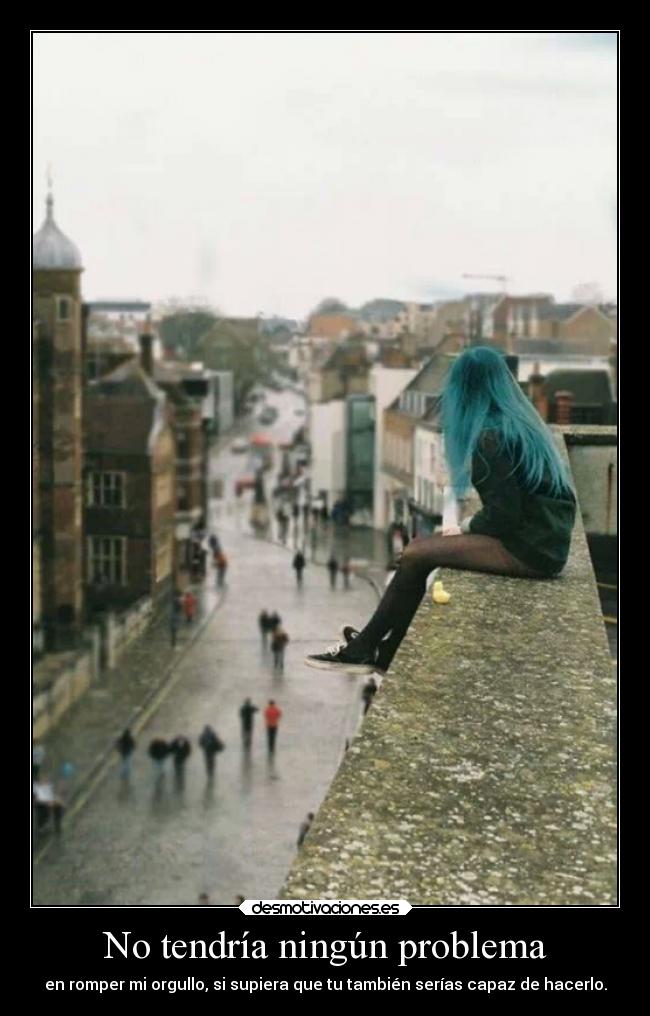 No tendría ningún problema - 