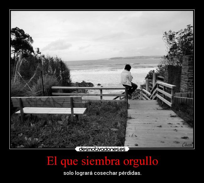 carteles ausencia orgullo consejos pium potato and taco desmotivaciones