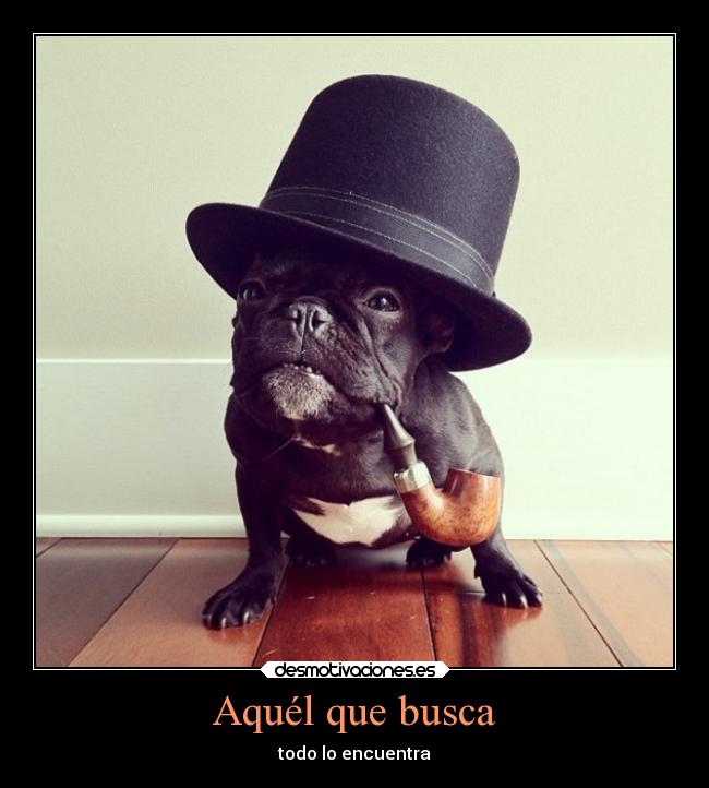 Aquél que busca - todo lo encuentra