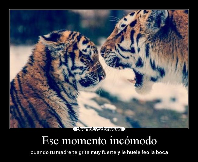 Ese momento incómodo - cuando tu madre te grita muy fuerte y le huele feo la boca