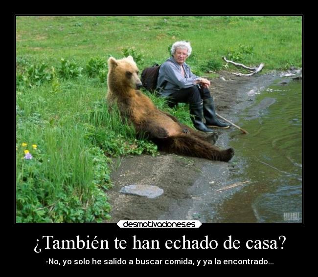 ¿También te han echado de casa? - -No, yo solo he salido a buscar comida, y ya la encontrado...