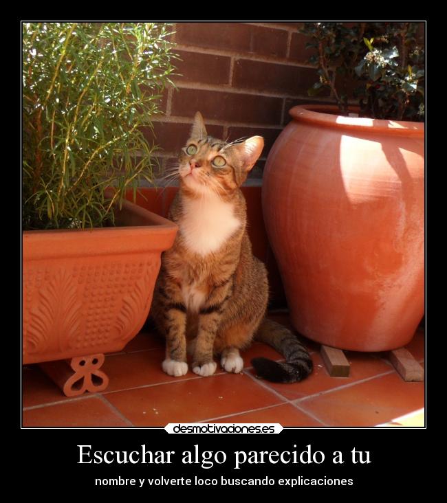 carteles celos desmotivaciones