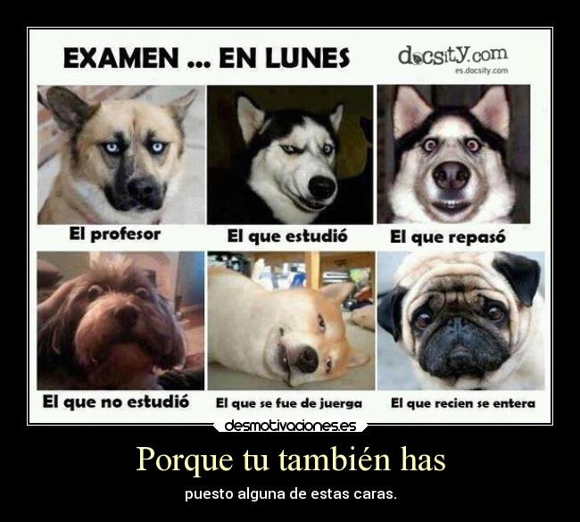 Porque tu también has - 