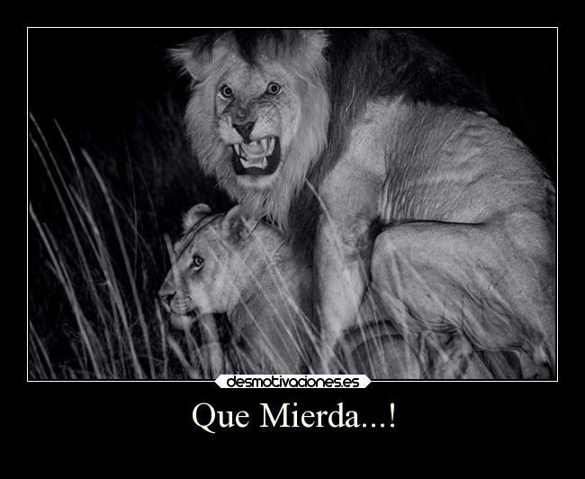 Que Mierda...! -