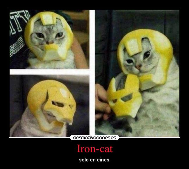 Iron-cat - solo en cines.