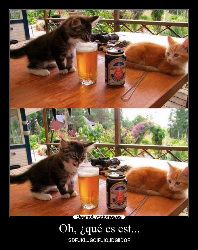 Oh, ¿qué es est... - SDFJKLJGOIFJIOJDGIIDOF