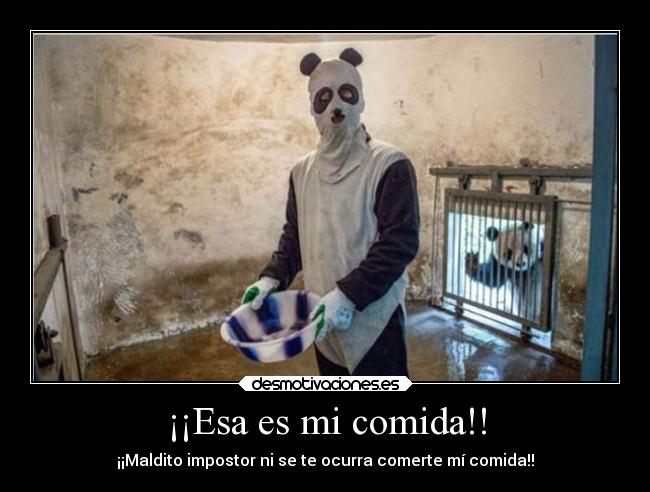 carteles comida humor comida impostar panda desmotivaciones