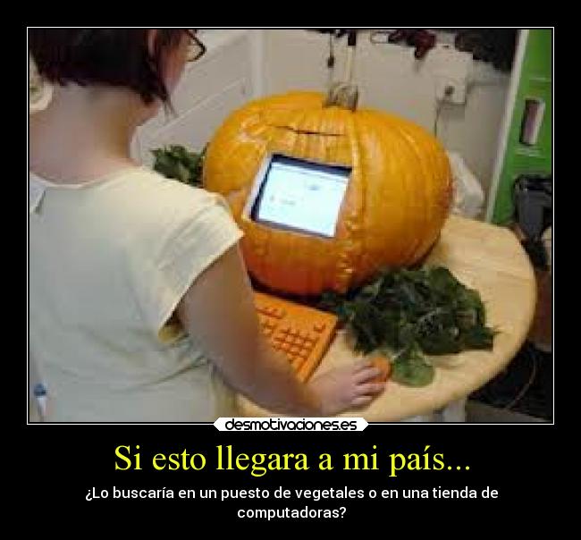 carteles comida naturaleza computadora desmotivaciones