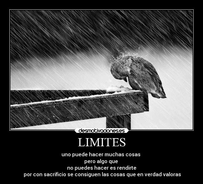 LIMITES -