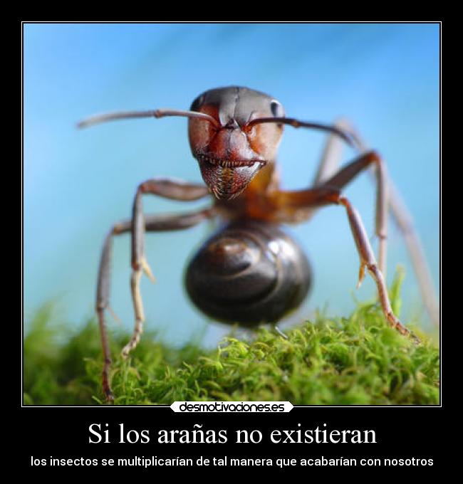 carteles confianza desmotivaciones