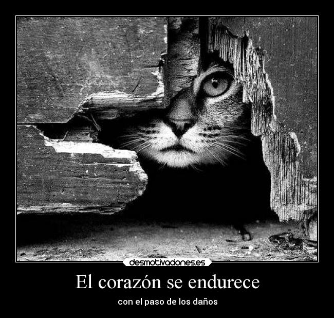 El corazón se endurece - con el paso de los daños