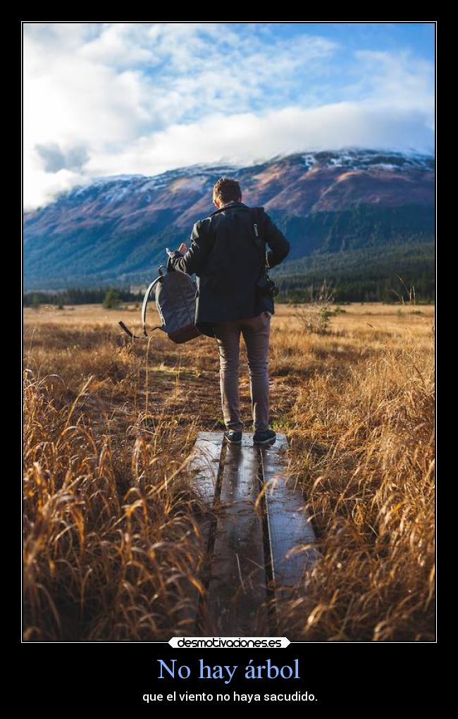 No hay árbol - que el viento no haya sacudido.