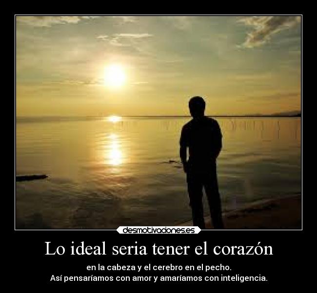 Lo ideal seria tener el corazón - en la cabeza y el cerebro en el pecho.
Así pensaríamos con amor y amaríamos con inteligencia.