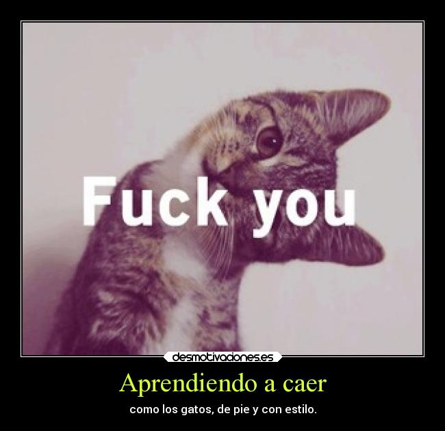Aprendiendo a caer -