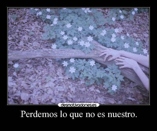 carteles debilidad midnightorchestra desmotivaciones