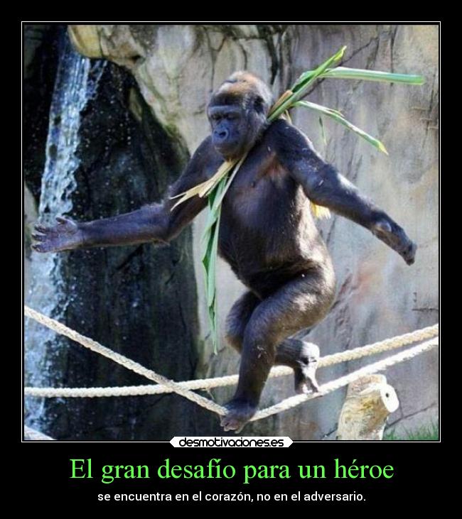 carteles deseos desmotivaciones