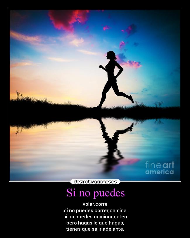Si no puedes - volar,corre
si no puedes correr,camina
si no puedes caminar,gatea
pero hagas lo que hagas,
tienes que salir adelante.
