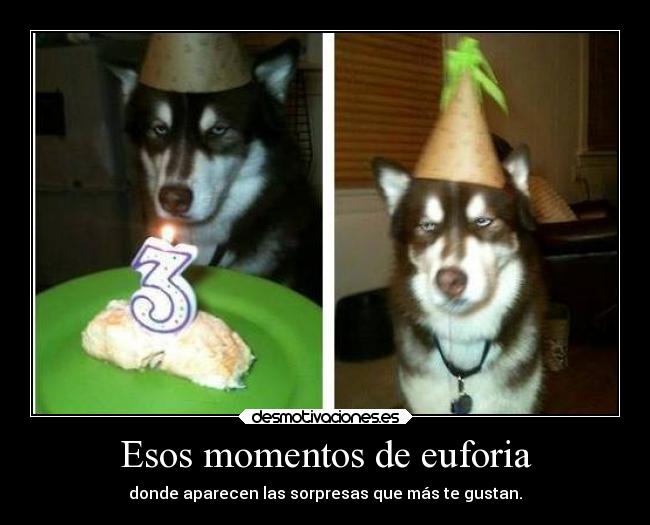 Esos momentos de euforia -